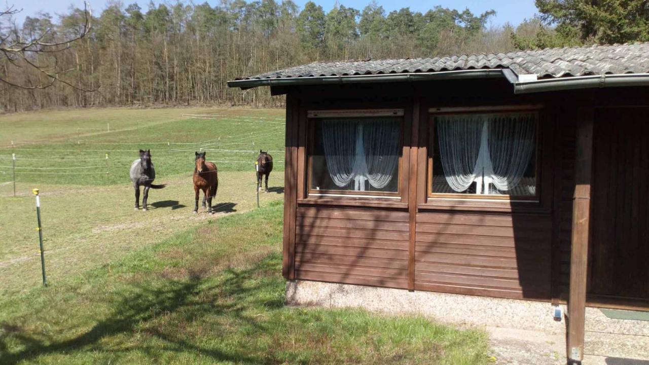 Reitstation Rossmuehle Apartment Grafendorf  Bagian luar foto